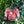 Load image into Gallery viewer, Die-Cast Ugly Sweater Ornament
