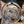 Load image into Gallery viewer, AO Glass Ornaments
