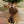 Load image into Gallery viewer, Bobblehead
