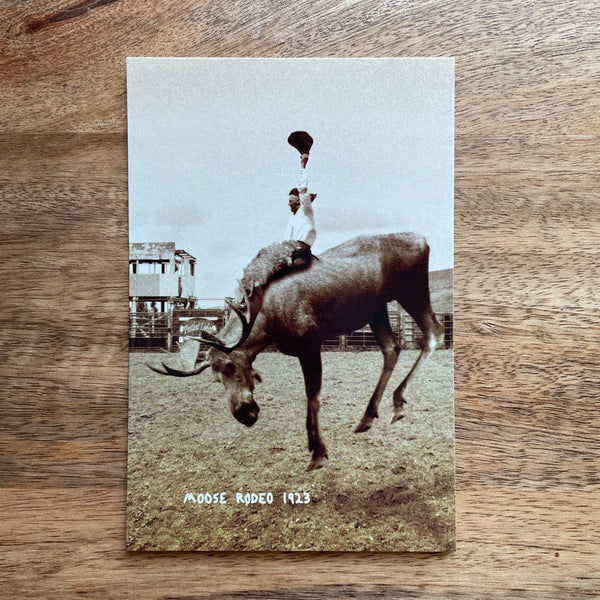 Colossal Sanders Postcards