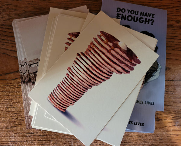 Colossal Sanders Postcards