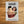 Load image into Gallery viewer, Colossal Sanders Postcards

