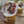 Load image into Gallery viewer, Moose Snow Globe
