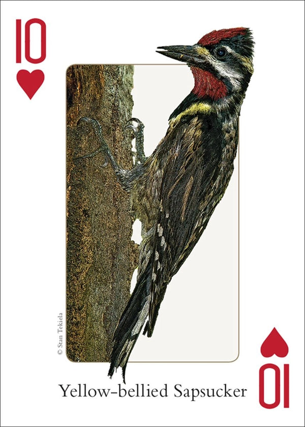 Playing Cards