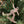 Load image into Gallery viewer, Aluminum ornament
