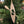 Load image into Gallery viewer, Aluminum ornament
