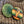 Load image into Gallery viewer, Vermont Button Pins
